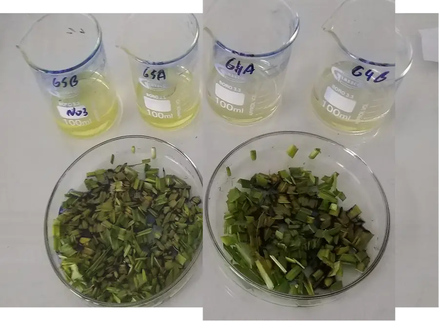 Alimentos analysis